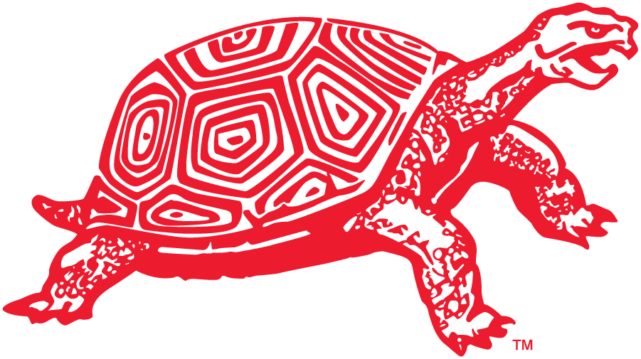 Maryland Terrapins 1950 Secondary Logo diy iron on heat transfer